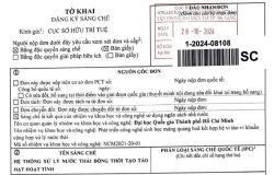 IPTC_Sáng chế mã số 1-2024-08108: Hệ thống xử lý nước thải đồng thời tạo tảo hạt hoạt tính.