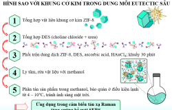 Giới thiệu sáng chế: Qui trình chế tạo vật liệu tổ hợp nano kim loại vàng hình sao với khung cơ kim trong dung môi eutectic sâu