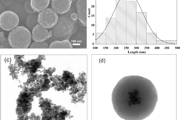 Giới thiệu đơn sáng chế (1-2024-08025): Vật liệu nano silica hữu cơ  xốp phân hủy sinh học bọc hạt nano Fe3O4 từ tính của nhóm PGS.TS. Đoàn Lê Hoàng Tân.