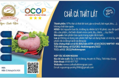 HTX KIM NGOAN CHÍNH THỨC BẢO HỘ KIỂU DÁNG CÔNG NGHIỆP ĐỘC QUYỀN CHO NHÃN DÁN “CHẢ CÁ THÁT LÁT TẨM GIA VỊ”