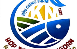 HỢP TÁC XÃ KIM NGOAN ĐĂNG KÝ NHÃN HIỆU “HẬU GIANG FARM 1985” – BIỂU TƯỢNG MỚI CHO NÔNG SẢN SẠCH, HIỆN ĐẠI VÀ ĐẬM BẢN SẮC