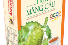 CƠ SỞ ÁNH NGUYỆT ĐĂNG KÝ BẢO HỘ KIỂU DÁNG CÔNG NGHIỆP CHO HỘP TRÀ MÃNG CẦU ĐẶC SẢN – MÃ ĐƠN 3-2025-00908