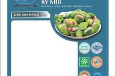 HOÀN TẤT BỘ BA ĐĂNG KÝ, HỢP TÁC XÃ KỲ NHƯ BẢO HỘ KIỂU DÁNG CÔNG NGHIỆP CHO BAO BÌ “KHỔ QUA RỪNG NHÂN CHẢ CÁ THÁT LÁT” – MÃ ĐƠN 3-2025-00876