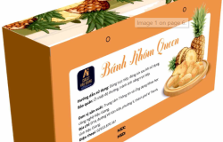 Đăng ký Kiểu dáng Công nghiệp (KDCN) cho “Hộp Bánh Khóm Queen” – mã số 3-2025-00535