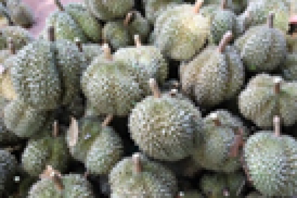 Kết nối doanh nghiệp (4): Hợp tác xã Nông nghiệp sạch Hòa Phú