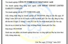 Công ty TNHH Xuất nhập khẩu A&B chính thức trở thành doanh nghiệp khoa học và công nghệ