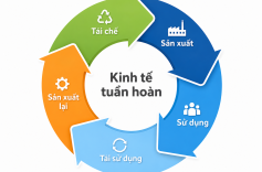 ĐƠN ĐĂNG KÝ SÁNG CHẾ “PHƯƠNG PHÁP TÍCH HỢP TUẦN HOÀN VÀ TÁI CHẾ PHẾ PHẨM TRONG HỆ THỐNG NUÔI TRỒNG VÀ CHẾ BIẾN TÔM” ĐÃ CHÍNH THỨC ĐƯỢC CHẤP NHẬN ĐƠN HỢP LỆ