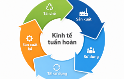 ĐƠN ĐĂNG KÝ SÁNG CHẾ “PHƯƠNG PHÁP TÍCH HỢP TUẦN HOÀN VÀ TÁI CHẾ PHẾ PHẨM TRONG HỆ THỐNG NUÔI TRỒNG VÀ CHẾ BIẾN TÔM” ĐÃ CHÍNH THỨC ĐƯỢC CHẤP NHẬN ĐƠN HỢP LỆ
