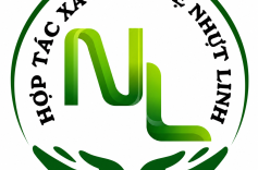 HTX Mỹ nghệ Nhựt Linh đăng ký nhãn hiệu: Gìn giữ bản sắc thủ công bằng một dấu hiệu nhận diện thống nhất