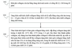 ĐƠN ĐĂNG KÝ SÁNG CHẾ “QUY TRÌNH SẢN XUẤT COLLAGEN TỪ PHẾ PHỤ PHẨM DA CÁ THÁT LÁT CÒM (Notopterus chitala)” ĐÃ CHÍNH THỨC ĐƯỢC CHẤP NHẬN ĐƠN HỢP LỆ