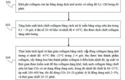 ĐƠN ĐĂNG KÝ SÁNG CHẾ “QUY TRÌNH SẢN XUẤT COLLAGEN TỪ PHẾ PHỤ PHẨM DA CÁ THÁT LÁT CÒM (Notopterus chitala)” ĐÃ CHÍNH THỨC ĐƯỢC CHẤP NHẬN ĐƠN HỢP LỆ