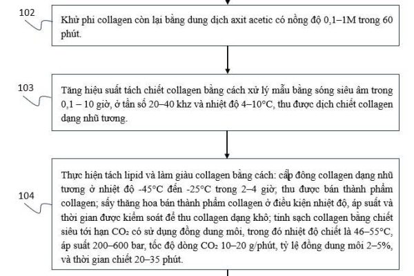 ĐƠN ĐĂNG KÝ SÁNG CHẾ “QUY TRÌNH SẢN XUẤT COLLAGEN TỪ PHẾ PHỤ PHẨM DA CÁ THÁT LÁT CÒM (Notopterus chitala)” ĐÃ CHÍNH THỨC ĐƯỢC CHẤP NHẬN ĐƠN HỢP LỆ