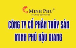 Minh Phú Hậu Giang đăng ký sáng chế phương pháp tích hợp tuần hoàn và tái chế phế phẩm trong chuỗi tôm